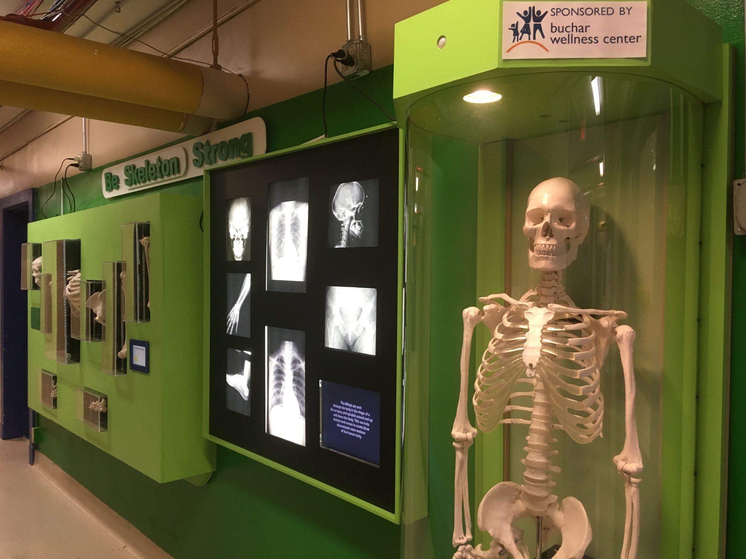 ✨ 오로라 레이캬비크 - 북극광 센터